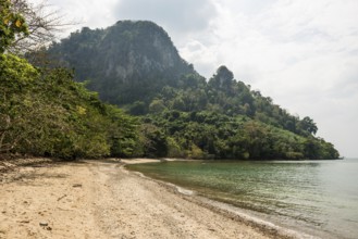Sandy beach beach and coconut palms, Lo Dung Beach, Koh Mook, Trang Province, Southern Thailand,