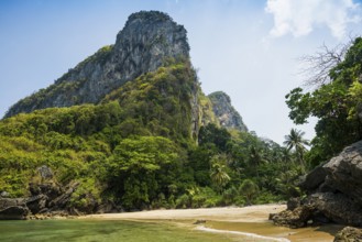 White sandy beach and coconut palms, Sabai Beach, Koh Mook, Trang Province, Southern Thailand,