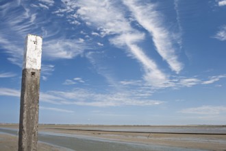 Beach pile, beach post on the German North Sea coast, East Frisia, Lower Saxony, Germany
