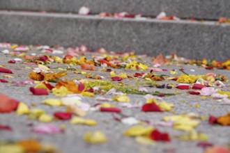 After a wedding, scattered flowers, summer, Germany