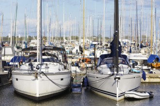 Two sailing ships in the marina, forest of masts, harbour road, harbour island, old town, Hanseatic
