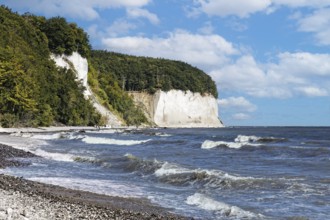 Chalk cliffs, chalk, wooded, beech forest, forest, pebble beach, surf, surf waves, steep coast,