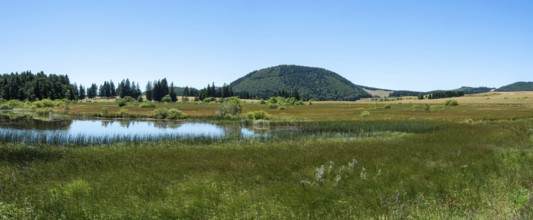 Bog of Bourdouze lake, Auvergne Volcanoes Regional Park, Puy de Dome., Auvergne-Rhone-Alpes, France
