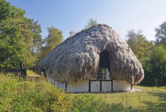 A small house with a seaweed roof surrounded by nature, trees and grass, Læsø, Jutland, Kattegat,