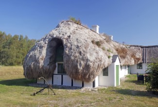Rustic white house with seaweed-covered roof and anchor in natural surroundings under clear skies,