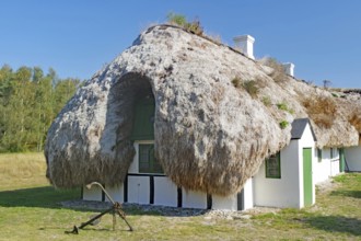 A small seaweed-roofed house with green shutters and an anchor against a natural backdrop, Læsø,