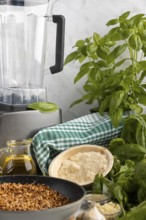 Ingredients for pesto such as basil, sunflower seeds, olive oil and parmesan next to a blender