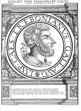 Gaius Vibius Trebonianus Gallus (born 206 in Perusia, died August 253) was Roman Emperor between