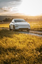 White car on a path surrounded by golden grass at sunset, Tesla Model Y Juniper, electric car