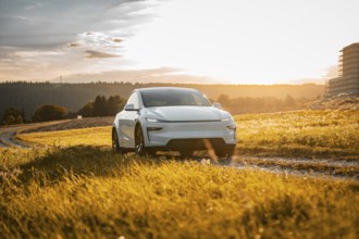 White car on a path surrounded by a wide meadow at sunset, Tesla Model Y Juniper, electric car