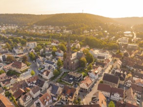 Panoramic view over the roofs of a town with a central church, surrounded by green hills, small