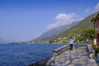 Waterfront promenade, harbour of Cassone di Malcesine, Lake Garda, Veneto, Italy