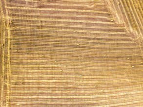 Top Down over Fields from a drone, Torquay, Devon, England, United Kingdom