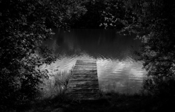 Bathing jetty, jetty, wooden jetty, jetty, leads into a lake, bathing lake, Schwaltenweiher near