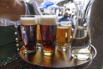 Drinks on a tray are served by a waitress in the beer garden, Munich, Bavaria, Germany