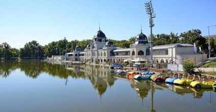 Colorful paddle boats are lined up on the shore of a lake, with a grand building and lush trees in