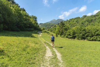 Female hiker walking on a path surrounded by lush green grass and trees, with mountains in the