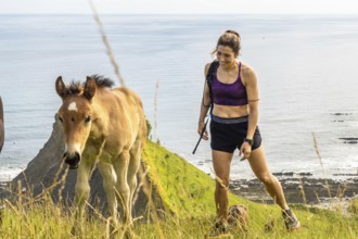 Female hiker with her dog encountering wild horses while walking on the cliffs of sakoneta beach,