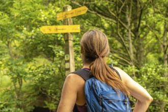 Female hiker contemplating directions on a wooden signpost, surrounded by the vibrant greenery of a