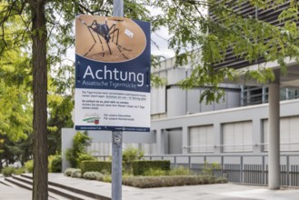 Attention Asian tiger mosquito (Aedes albopictus) . Poster with hazard warning and rules of