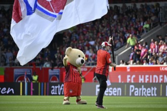 Mascot Paule 1. FC Heidenheim 1846 FCH flag waving Voith-Arena, Heidenheim, Baden-Württemberg,