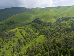Densely forested mountain slopes with view of green valley under partly cloudy sky, aerial view,
