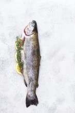 Freshly caught rainbow trout with herbs and citrus arranged on a light textured surface