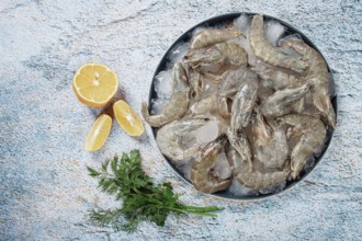 Fresh raw shrimp, spread on ice with lemon and cilantro slices on a marble surface, ready to cook,