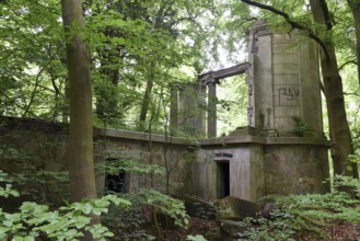 Ruin, castle ruin of Dwasieden Castle on Rügen, Mecklenburg-Western Pomerania, Germany