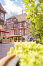 Half-timbered houses in the sunshine with flowers in the foreground, small town of Perle Calw,