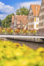Summer view of half-timbered houses and a bridge along the river, small town of Perle Calw, Black