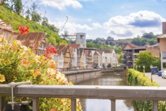 View over the river to a mixture of old and modern architecture in summery surroundings, small town