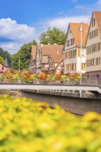 Summer city panorama with river, half-timbered houses and bridge under blue sky, small town pearl