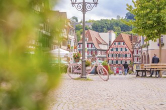 Malewes cityscape with pink bicycle and flowers in focus, framed by traditional architecture, small