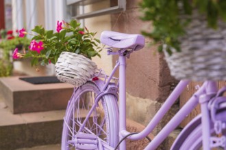 Purple bicycle with white baskets full of flowers, stylishly decorated in front of a front step,