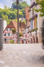 Picturesque townscape with pink bicycle in the centre, surrounded by traditional architecture,