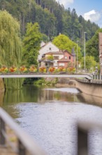 River with bridge and decorated railing, surrounded by green trees and buildings, small town of