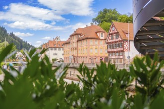 View over plants to half-timbered houses under a blue, cloudy sky, small town of Perle Calw, Black