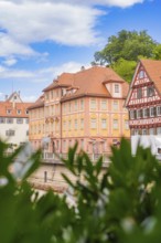 Half-timbered houses with gables under a blue sky, framed by green vegetation, small town of Perle