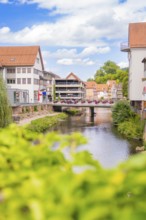 Urban river with modern architecture and bridges, surrounded by summer vegetation, small town pearl