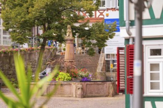 Cosy area with fountain and half-timbered view on summer day, small town Perle Calw, Black Forest,