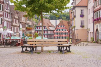 Quiet, picturesque half-timbered street with benches under trees, small town pearl Calw, Black