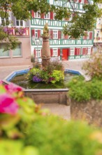 Decorative fountain with plants and view of half-timbered building, small town of Perle Calw, Black