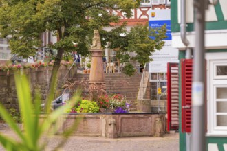 Fountain with flower arrangement in front of historical buildings and stairs in the background,