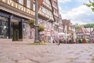 Pink bicycle with a basket of flowers stands on a cobbled street in front of half-timbered houses,