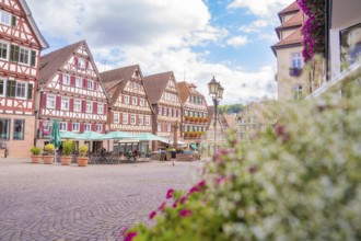 Scenic shot of half-timbered houses and a market square under a cloudy blue sky, small town of