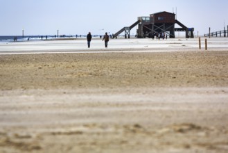 Wide beach, pile dwelling, walker, Sankt Peter-Ording, Eiderstedt peninsula, Wadden Sea National