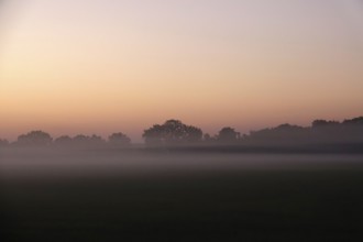 Landscape with morning fog, Summer, Saxony, Germany