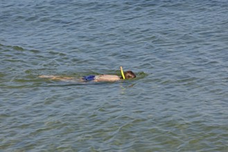 Little boy snorkelling in the sea, Kiel Fjord, Falckenstein, Kiel, Schleswig-Holstein, Germany