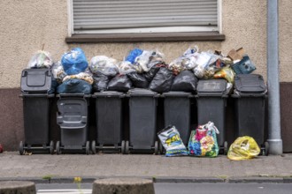Overflowing rubbish bins in front of a residential building in Gelsenkirchen, North